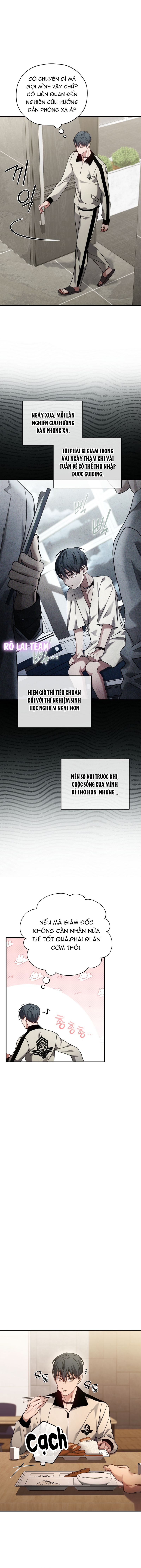 Người Dẫn Đường Định Mệnh Chapter 5 - Trang 2