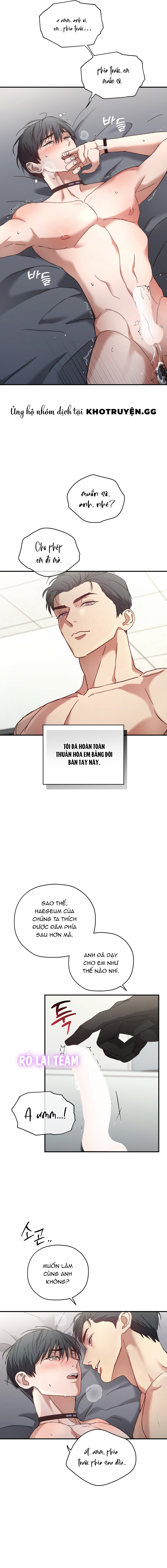 Người Dẫn Đường Định Mệnh Chapter 3 - Trang 2