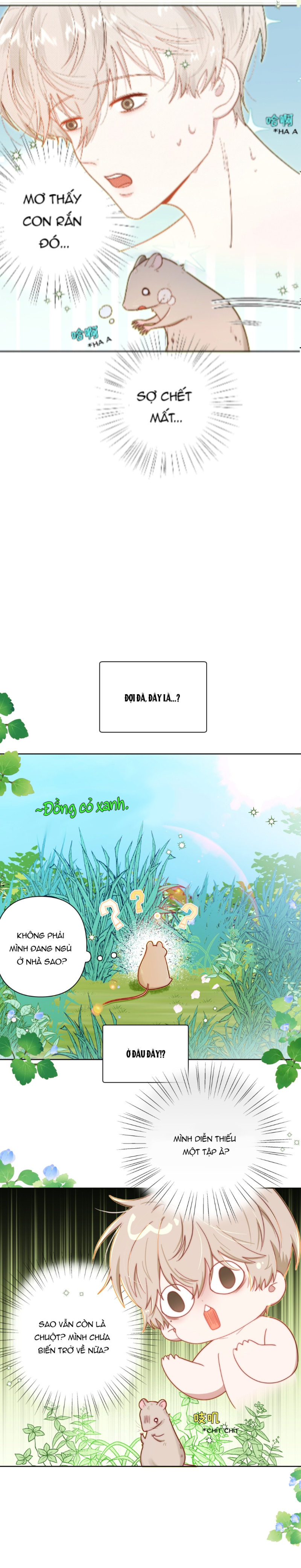 Sống Cùng Khắc Tinh Tiên Sinh Chapter 6 - Trang 2